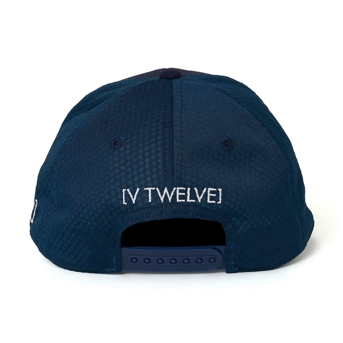 V122610-CP04　ARC CAP